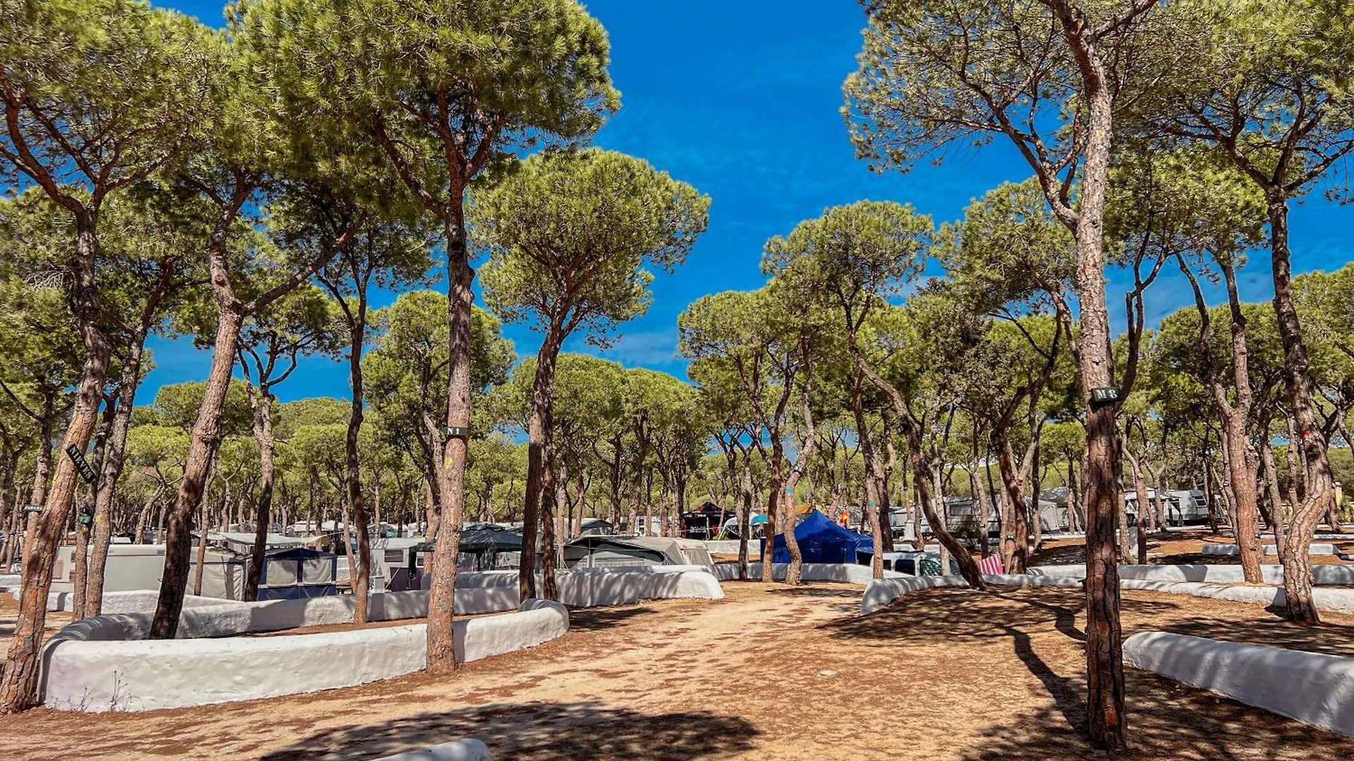 Camping Taiga Puerto Santa Maria Hotel El Puerto de Santa María